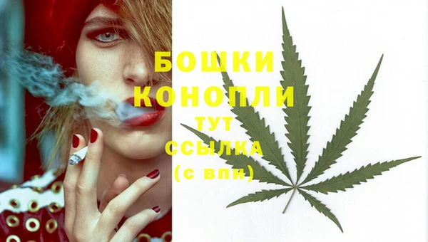 индика Переславль-Залесский
