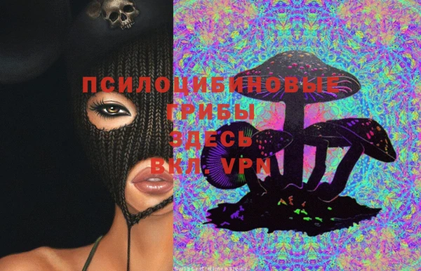 амф Надым