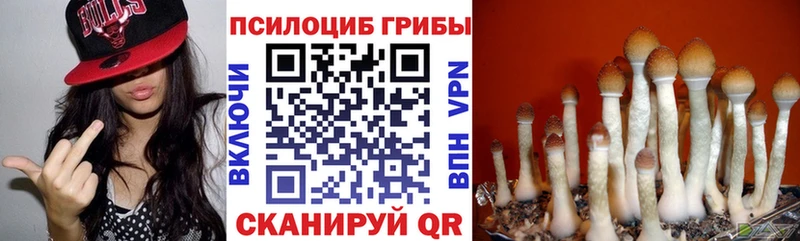 MEGA ССЫЛКА Оса Псилоцибиновые грибы Psilocybe